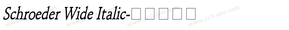 Schroeder Wide Italic字体转换